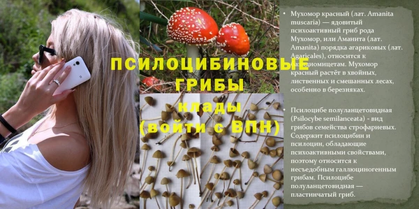 PSILOCYBIN Баксан