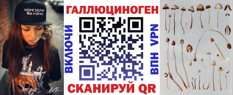 Псилоцибиновые грибы GOLDEN TEACHER  купить наркотик  Гороховец 